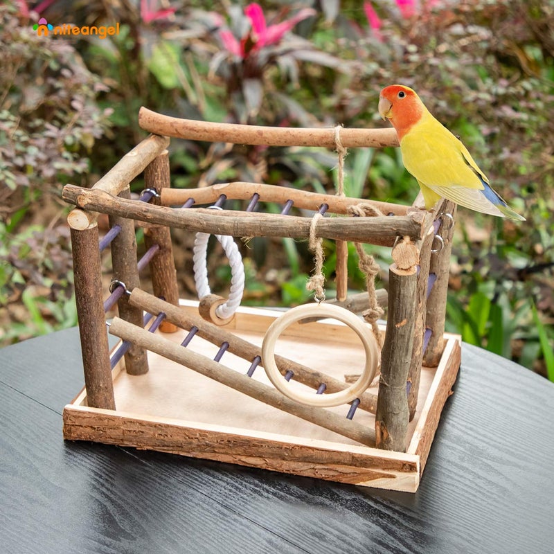 Niteangel Natural Living Playground for Birds, Bird Activity Center - Image 4